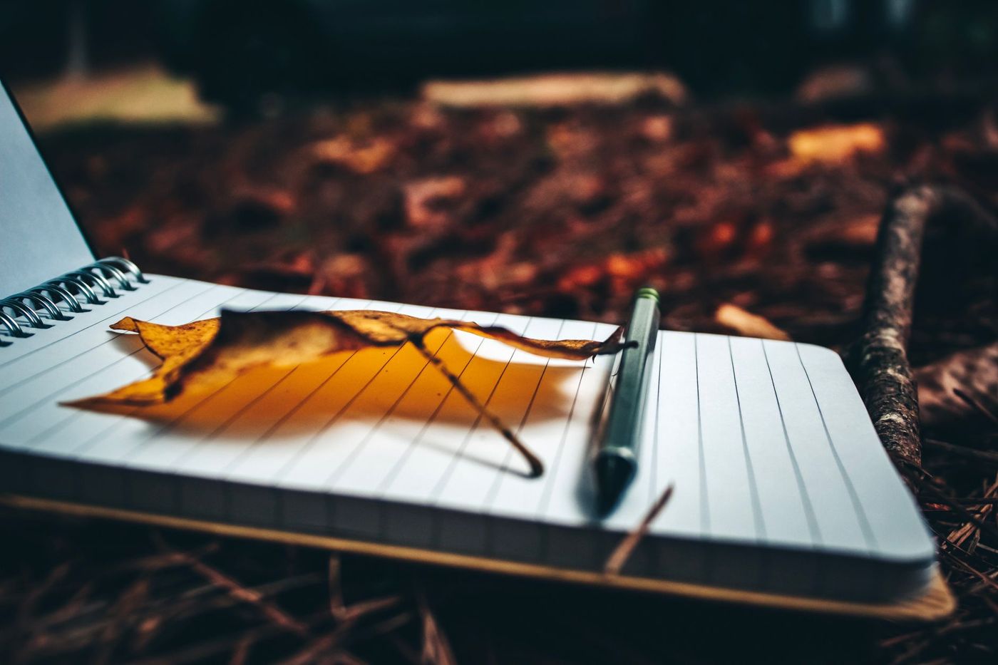 Een gedroogd herfstblad en een pen op een opengeslagen spiraalschrift, tussen dorre bladeren