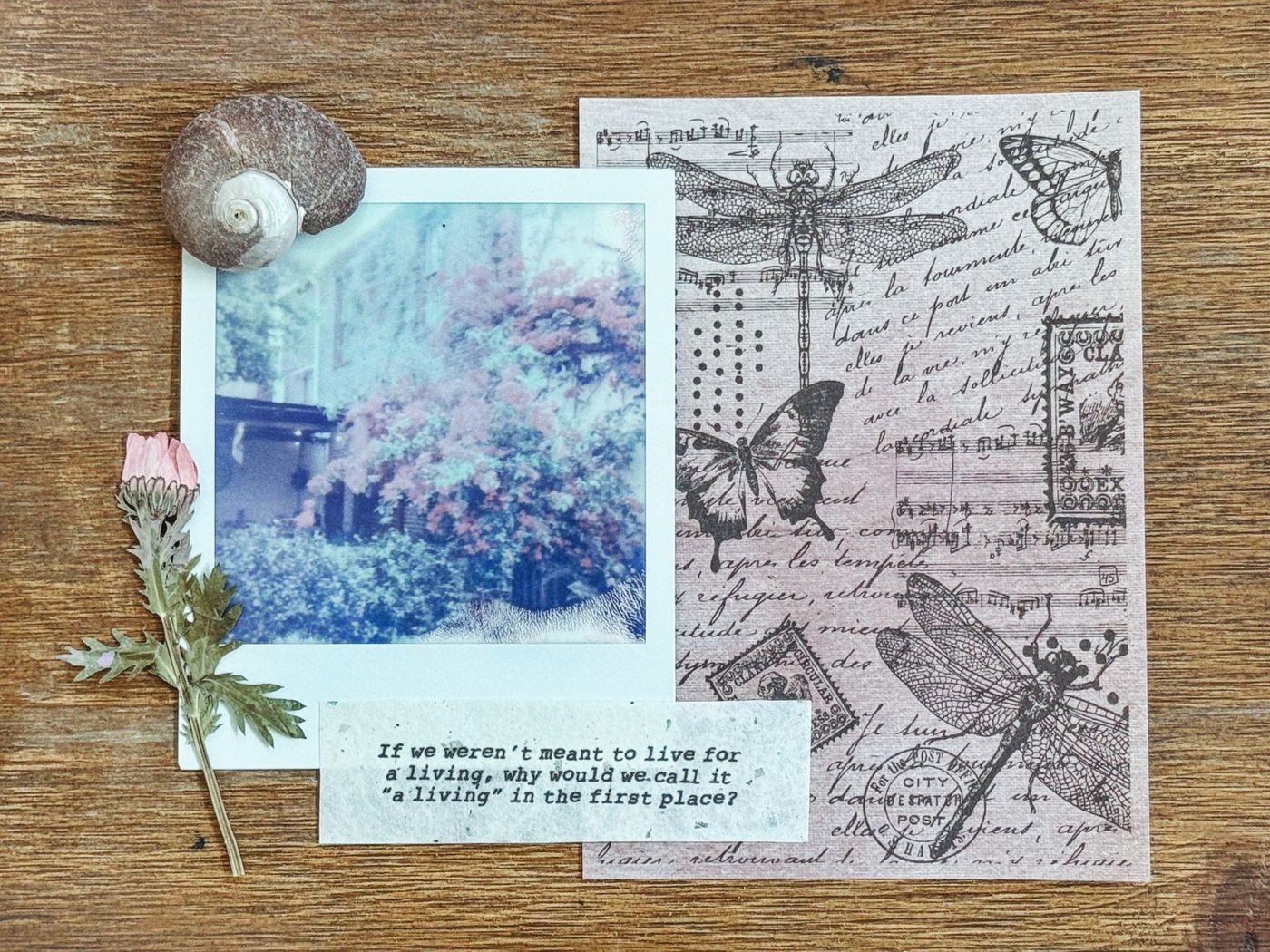 Houten tafel met een polaroidfoto van een bloeiende struik, een schelp, een geperst bloemetje en vintagepapier met libellen