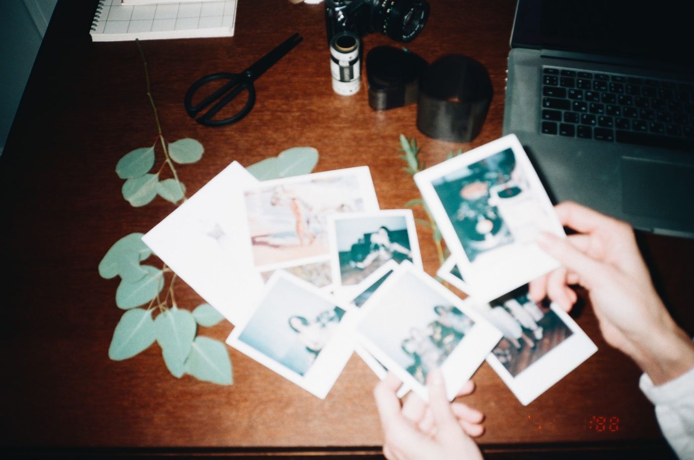 Handen schikken polaroidfoto's tussen groene blaadjes op tafel