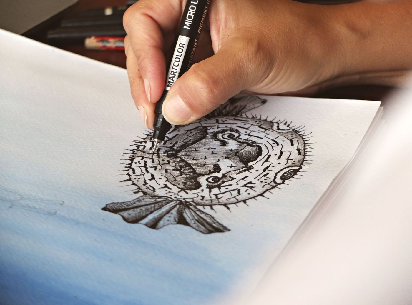 Een hand tekent met een zwarte fineliner met pigmentinkt een kogelvis op papier met een blauwe waterverfwas